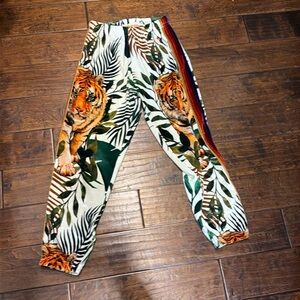 Aviator tiger collection